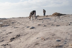 Sand på strand